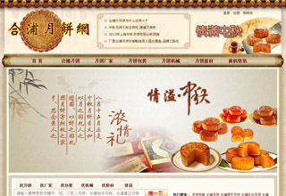 合浦月饼网站seo推广网